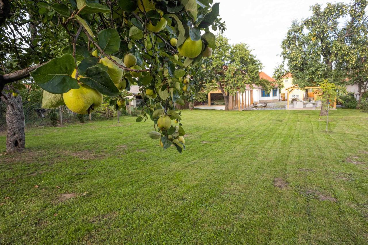 Csenduelo Vendeghaz Apartment Noszvaj Bagian luar foto